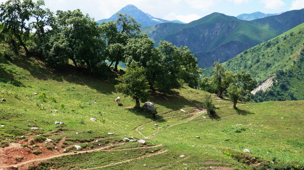 Trekking à Arslanbob