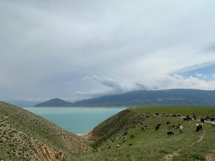5 Day. Transfer to Toktogul