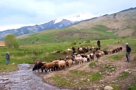 1 Day. Bishkek – Chon Kemin